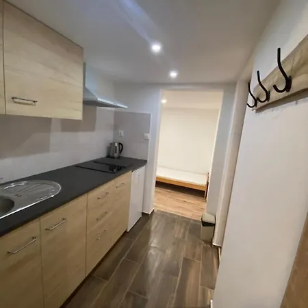 Apartmany Jesenik Je-Sen ゲストハウス