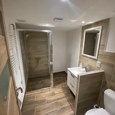 Je-sen, Na Horach S Bazenem A Infrasaunou Guest house Jesenik
